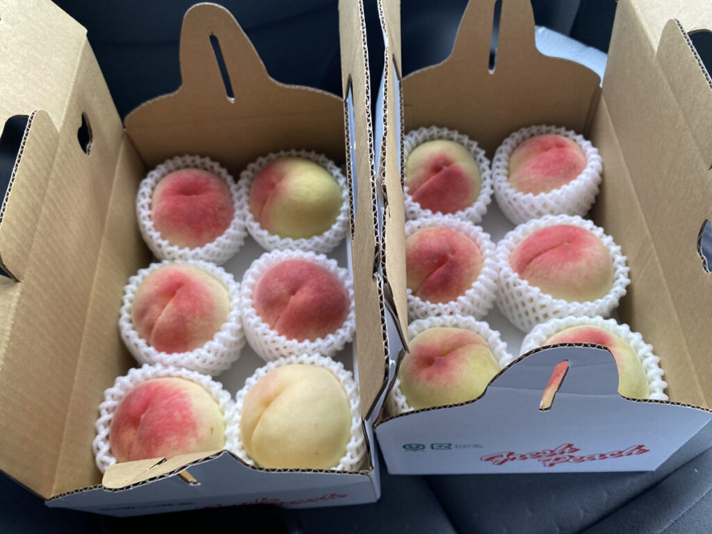 JA紀の里 桃山特産センターの白箱