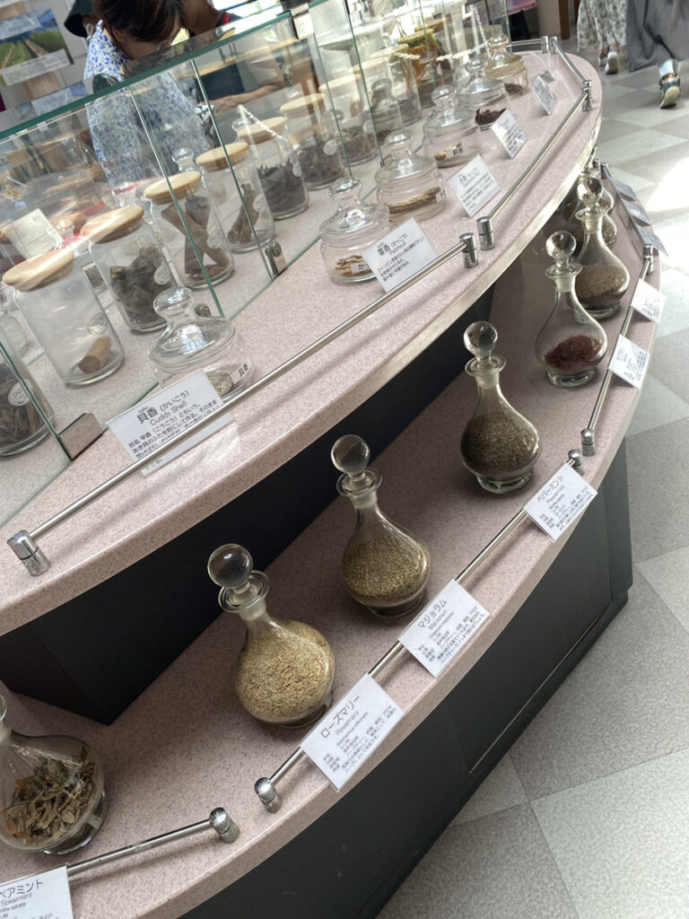 淡路島 日帰り遠足 パルシェ香りの館