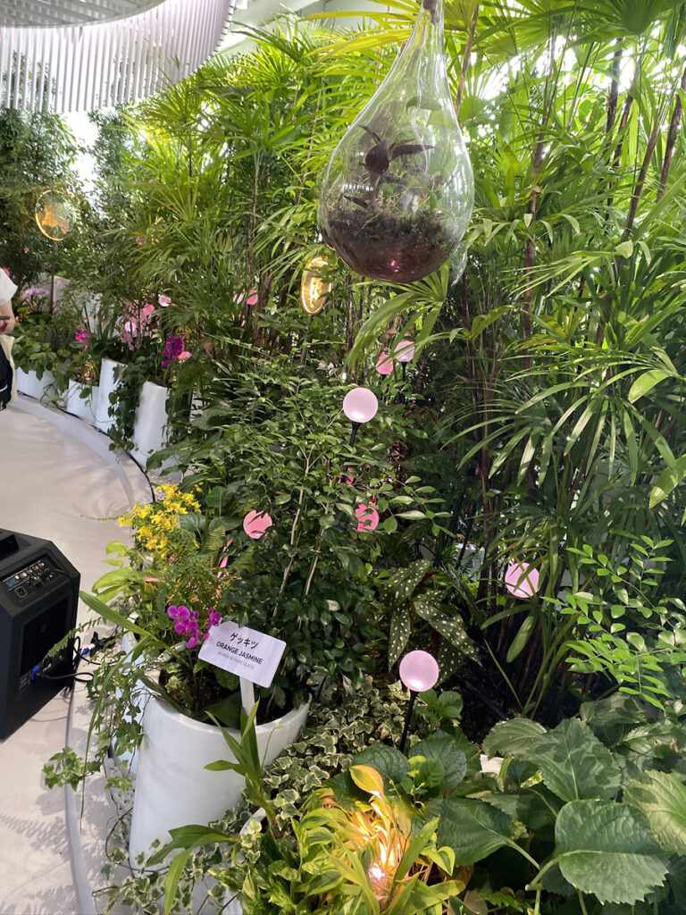 関西万博2025 シンガポール館