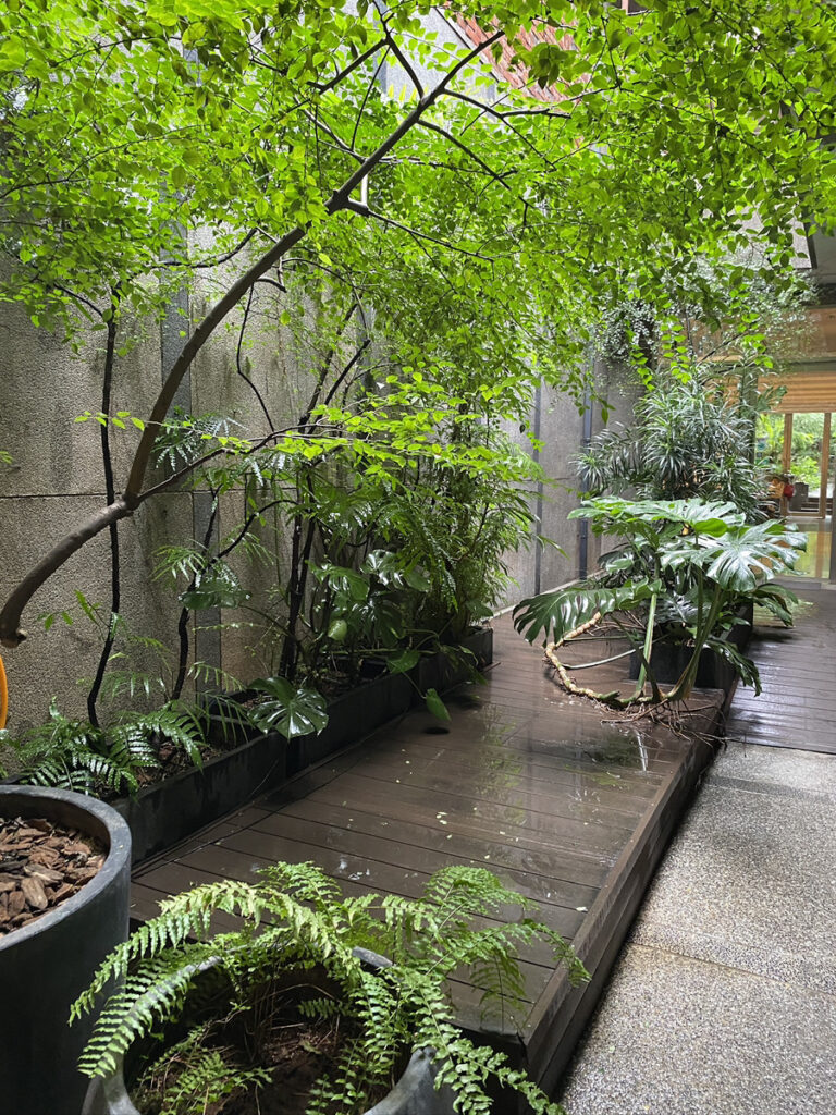 お店の奥に中庭があって。。。