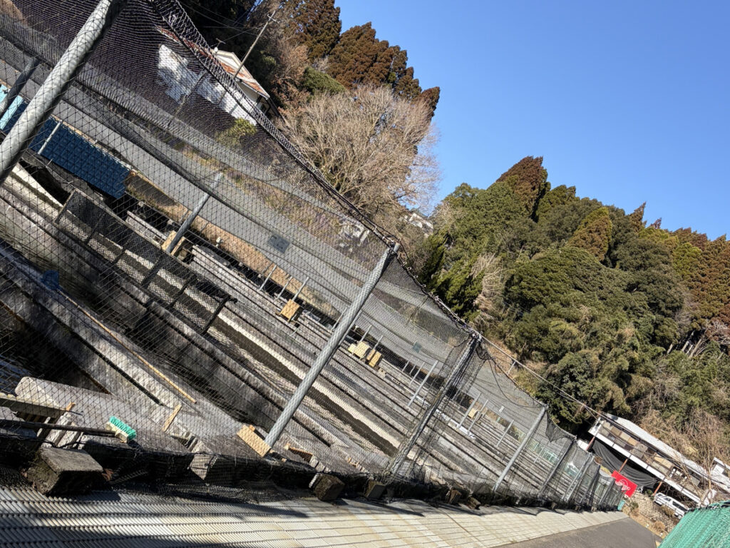 飼育管理されています